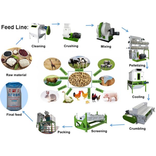 Quality Livestock Feed Pellet Production Line Fish Food Pellet Making Machine ISO wholesale