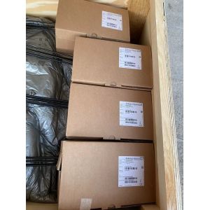 Conductive Point Level Detection Liquipoint FTW31 FTW31-A2A5AA0A