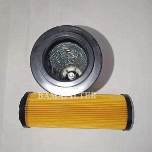 Oil Removal Function Hydraulic Oil Filter Element 1002P25NB R122C25B for BAMA