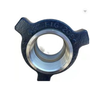 Oil Drilling Pipe Connection Thread Hammer Unions API Fig1502