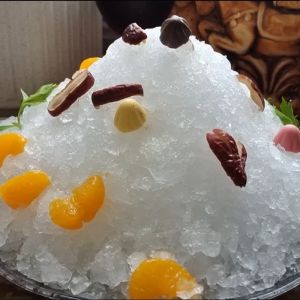 600g Filling Capacity LZ-800 Customized Granular Ice Machine with R404a