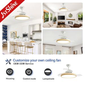 42 Inches Decorative Ceiling Fan with Remote 3000K/4500K/6000K Color Temperature