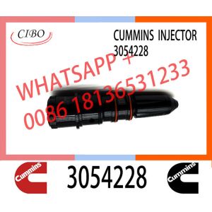 Diesel Engine Fuel Injector 3069767 4913325 3054228 4914308 3045102 For Cum-mins NT855 Engine