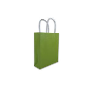 Sustainable C2S CMYK 350g Present Paper Bag With Handle