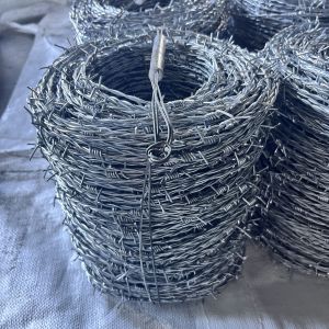 galvanized barbed wire galvanized barbed wire price 250m per roll dutch net
