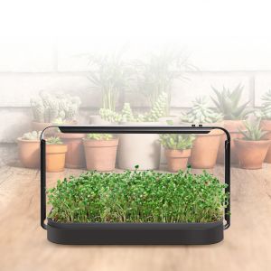 Indoor Microgreens Growing Kit Automated Full Spectrum LED Grow Lights With Seed
