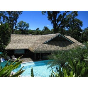 China Customized Fireproof Synthetic Thatch Roof Tiles for Outdoor Customized Solution on sale