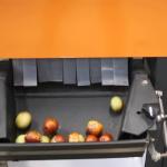 8 Lanes 380V Dates Fruit Sorting Grading Machine Computer Control