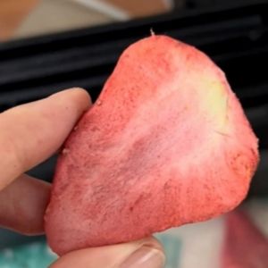 Seafood and Fruits 38kw Energy-saving Freeze Dryer Machine with 1400*1000mm Tray