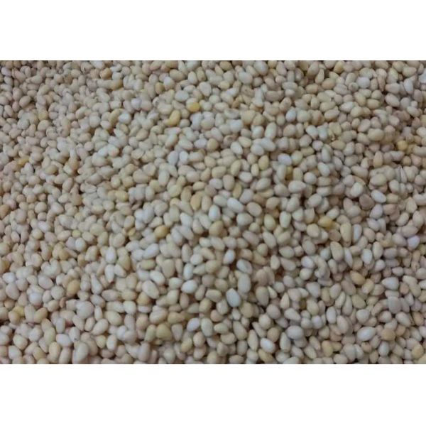 Agriculture Machine Pine Nut Kernel Color Sorter Nuts Sorting Machine