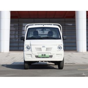 Heavy Loading EV Pickup Truck With Front Bumper And Shaft Head Plug