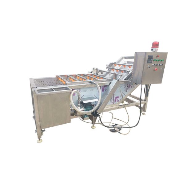 Quality Industrial Automatic Restaurant 500kg/h Vegetable Bubble Washing Machine wholesale