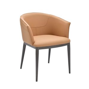 Elegant Curve Dining Chairs With Metal Base 730mm Height Sturdy