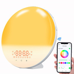 2022 New Smart APP Sunrise Wake up Light Alarm Clock with 8 Natural Music
