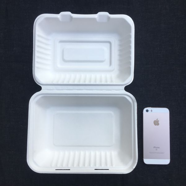 Quality Rectangle Biodegradable 600ml Disposable Bento Lunch Box Sugarcane Pulp wholesale