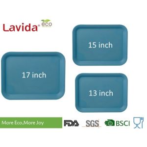 Biodegradable Eco Natural Bamboo Tray Durable Customized Logo Decal Printing