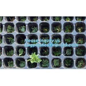 plastic nursery tray seedling tray have different numbers cups,Plastic Flowers