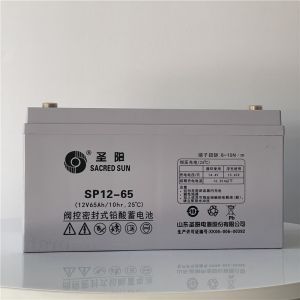 Sacred Sun 12V65Ah Lead Acid Battery for UPS Power Communication Solar Energy