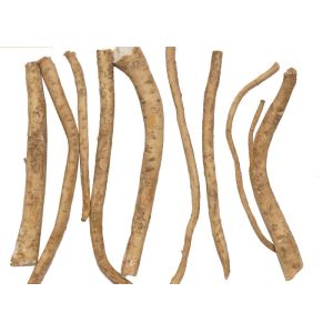 China Peeled Natural Food Seasoning Fresh Horseradish Lateral Root Without Additives on sale