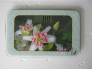 high precision strain-gauge sensor and auto-off fuction Health o Meter Scale