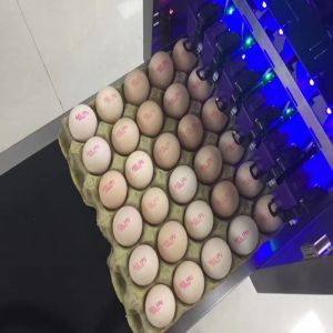 Quality Assure Best Quality Egg Inkjet Printer / Blue Ink Printing Machine / Red