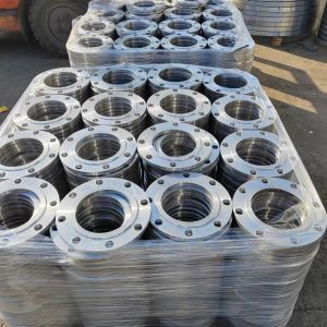 China ASTM A182 904L Forged Stainless Steel Flanges Rustproof Wear Resisting on sale