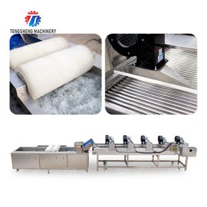 Fruits cleaning and drying production line Fruit Vegetable FOOD processing