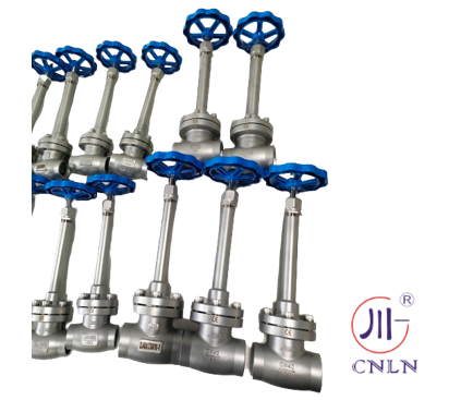 Cryogenic Globe Valve with 5.0Mpa Maximum Pressure PTFE Seal and CF8/CF3 Valve