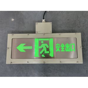 Customizable 3W Anti-Explosion Emergency Exit Sign LED Light Source for Chemical