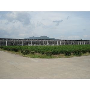 Customized Polycarbonate Sheet Greenhouse For Year Round Flower And Vegetable