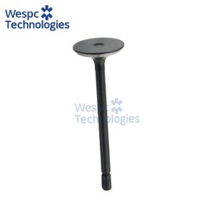 WESPC Intake Valve 120166380 For Perkins 403D-11 403D-15 403D-17 404D-15 404D-22