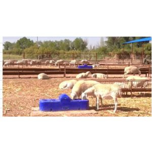 Plastic Thermo Four Hole Drinking Trough 1.5m For Sheep