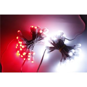 Cheap SMD2025 12V IP67 Waterproof Pixel LED Light 0.15W 9mm for sale