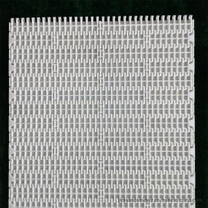 Pitch 25.4mm 1000 Plastic Modular Conveyor Belt for Transporting