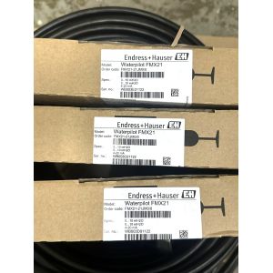 Endress+Hauser Waterpilot FMX21 Hydrostatic Level Transmitter with IP68-Rated