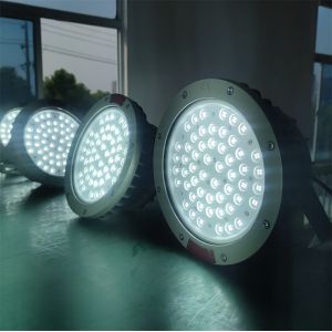 WF2 Degree CREE Flameproof LED Bay Lampe IP66 For Challenging Environment