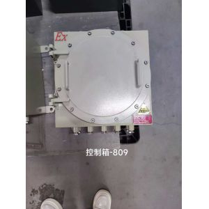 Cheap Explosion Proof Flameproof Control Panels – Reliable Fire Hazard Protection for Industrial Facilities for sale