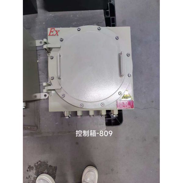 Explosion Proof Flameproof Control Panels – Reliable Fire Hazard Protection for