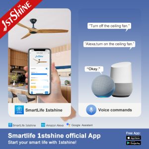 Modern Style Metal Ceiling Fan with Three Wooden Blades Lower Noise and