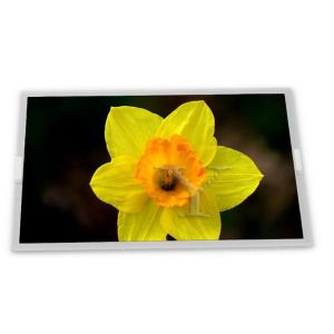 G101EVN03.1 Custom 10.1-Inch New TFT LCD Display Module Panel 1280*800 Resolution ODM Product Category LCD