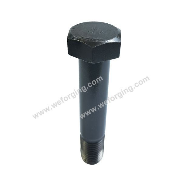 Hot Forging Aluminum Carbon Steel Forgings Stainless Steel Hex Nuts And Bolts M3