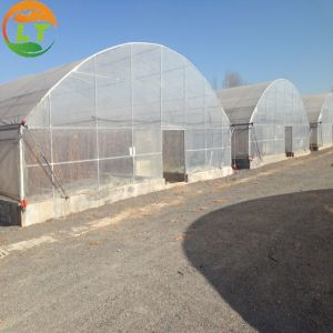 Film Covered Galvanized Greenhouse for Stable Structure and Vegetable Cultivatio