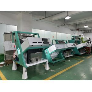 2 Chutes Hazelnut Colour Selection Machine From Wenyao