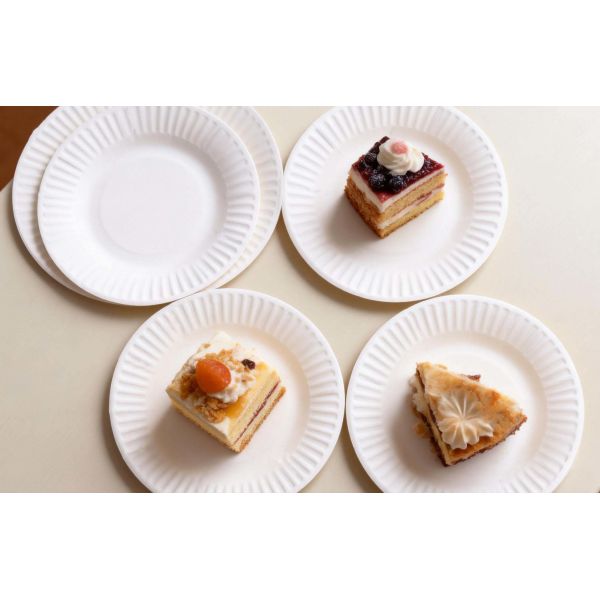 Heavy Duty White Paper Plates Compostable Disposable Tableware Perfect for Catering Food Trucks Festivals and Corporate Events