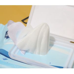 OEM Antiseptic 75% Alcohol Wet Wips Kill Germs And Virus