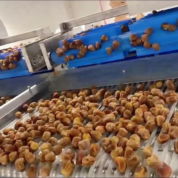 Quality Advanced Computer Control, High-capacity online Dates Sorting machine, Deep-learning+AI 6-Lane, High Precision & Defect Detection, cCustomizable wholesale