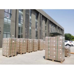 CCS1 to CHAdeMO EV Charger Adapter 200A CCS Combo 1 Station Charging for