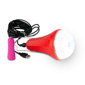 5200mAh 300lum Off Grid Solar Lighting System For Garden