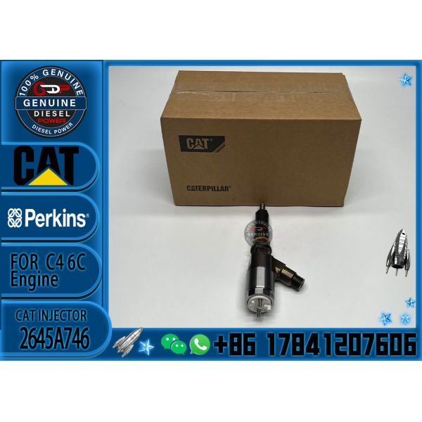 Quality 320-0677 diesel fuel injector nozzle 2645A746 3200677 common rail injector for Caterpillar engine C6.6 excavator 323D wholesale