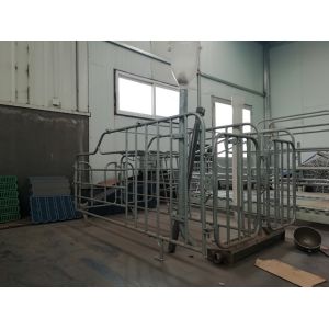 Cheap Heavy Duty Pig Gestation Crates Space Saving Easy To Manage Acid Resistance for sale